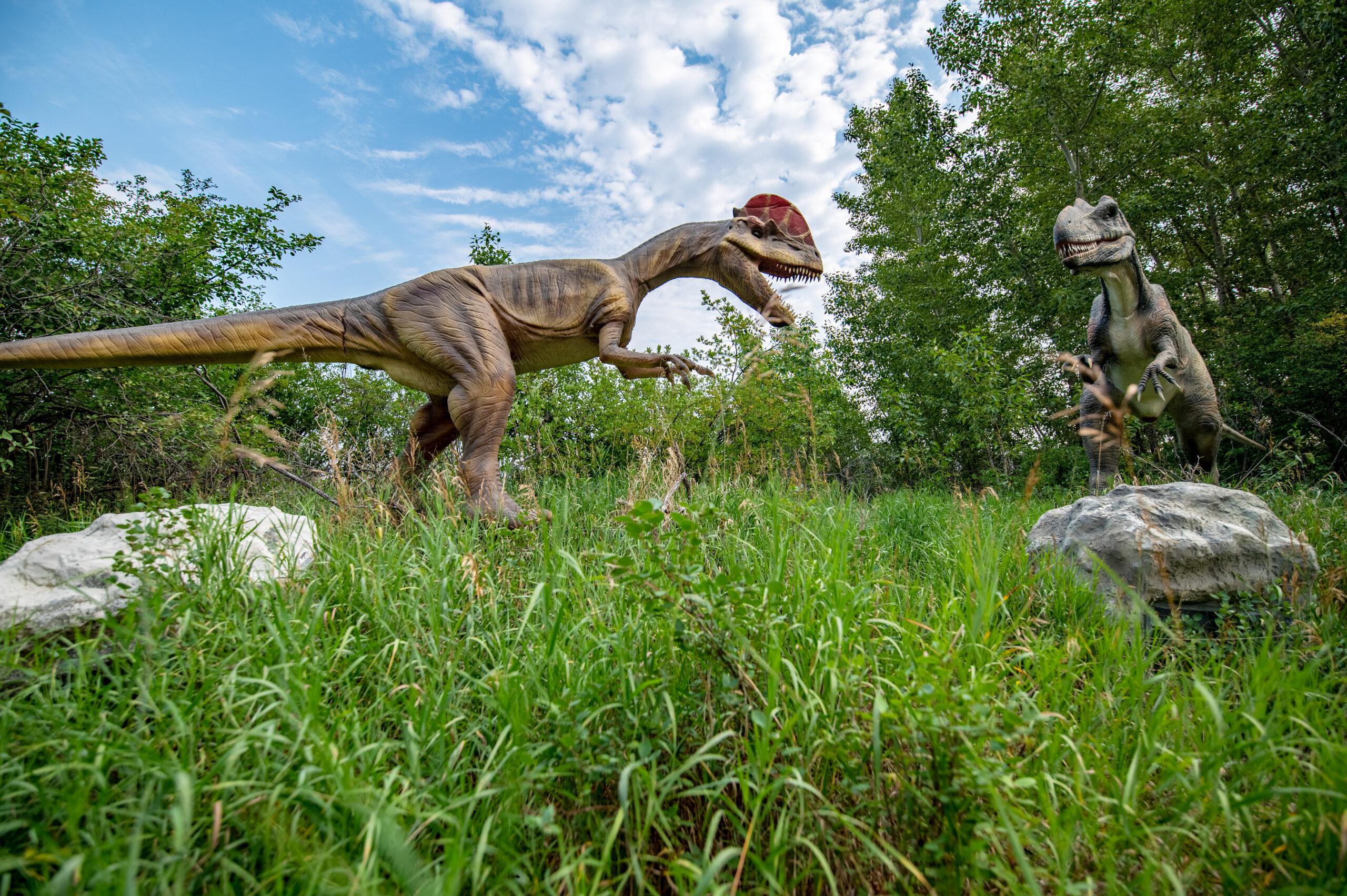 dinosaur 2