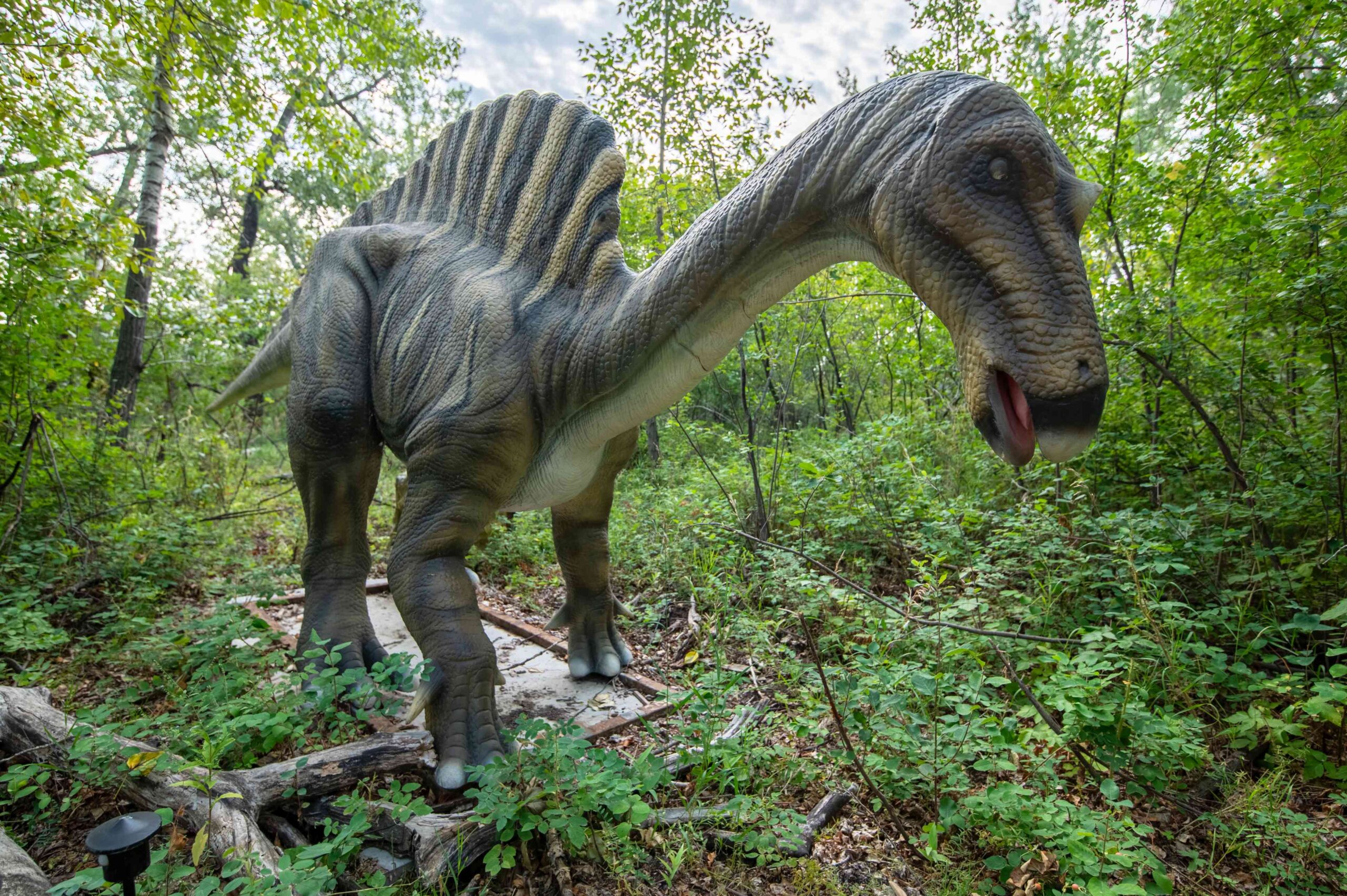 prehistoric puzzler
